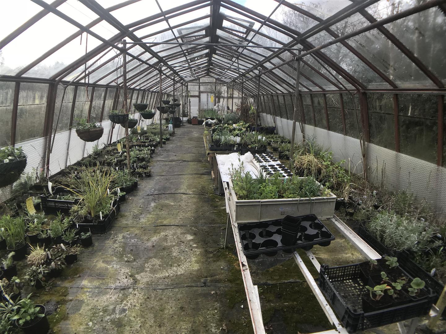 PRINCIPAL GREENHOUSE